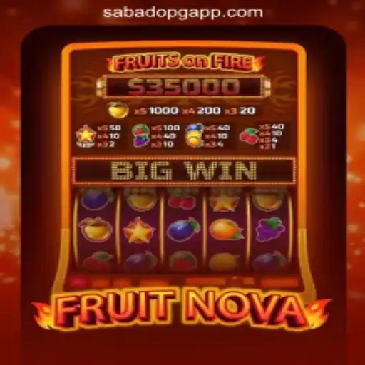 Exploring the Vibrant World of FruitNova Slots
